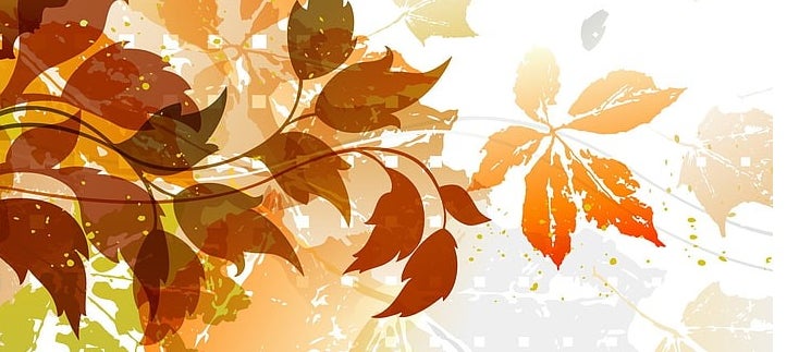 Coupon Specials | San Diego Eyewear Repair